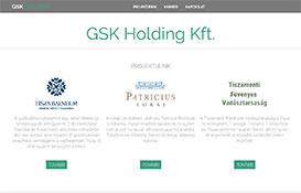 GSK Holding